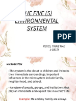 The Five 5 Environmental System