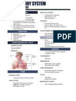 Respiratory System