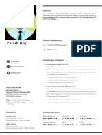 34 Professional CV Resume