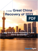 Searchlight - China 2023 Outlook