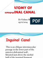 Inguinalcanalanatomy DR 170104140951