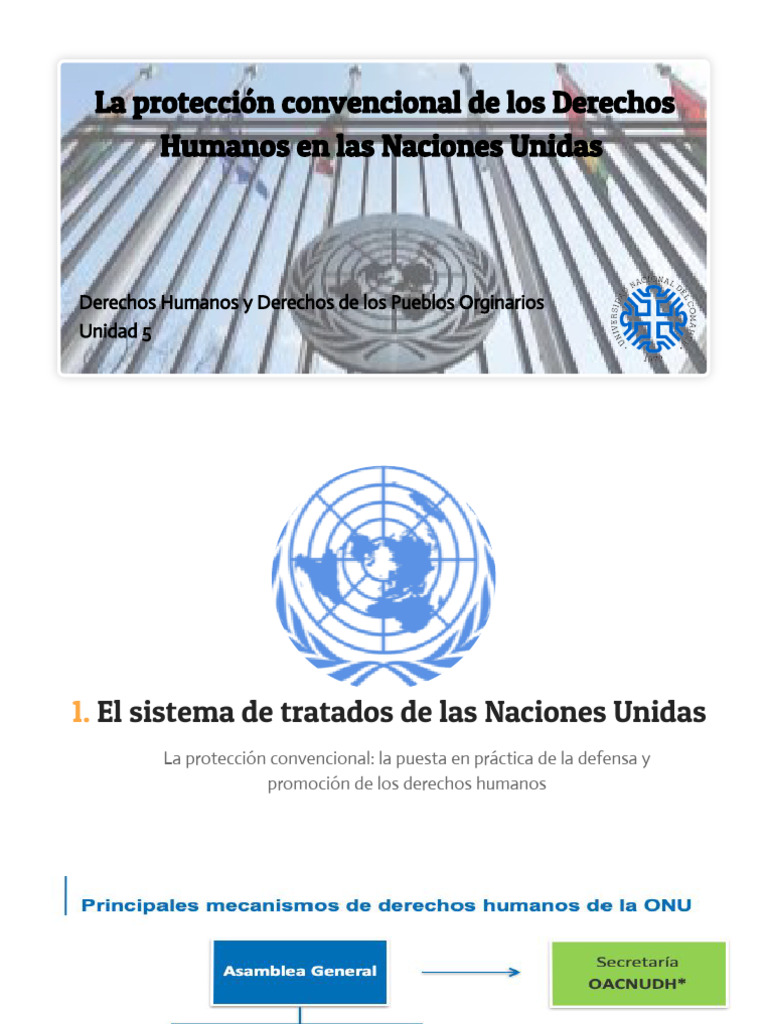 Protección de Derechos Humanos en la ONU | PDF | Derechos humanos ...