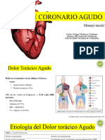 Guia Iam 2025 | PDF | Infarto de miocardio | Medicina Interna