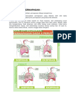 Mekanisme Pernapasan Dan Kapasitas Paru Paru