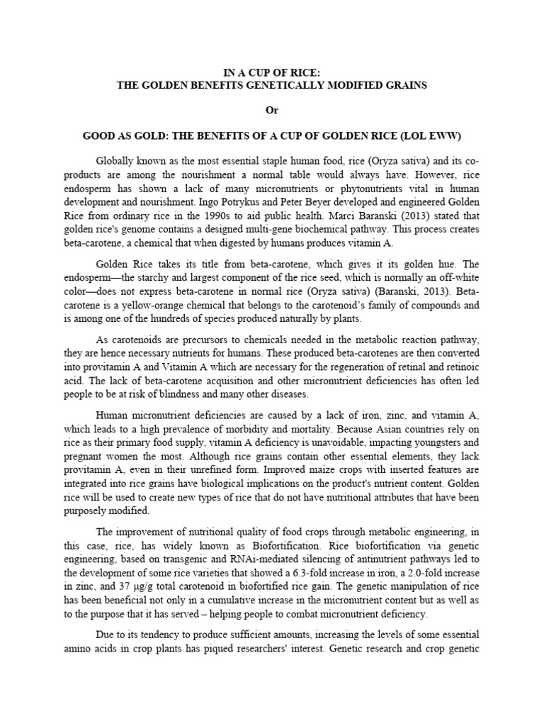 Golden Rice Summary | PDF | Lysine | Rice