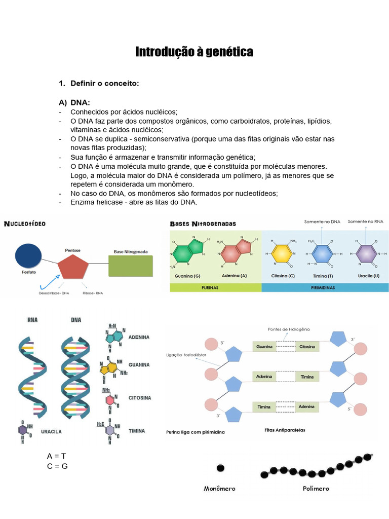 Introdução À Genética | PDF | Meiose | RNA