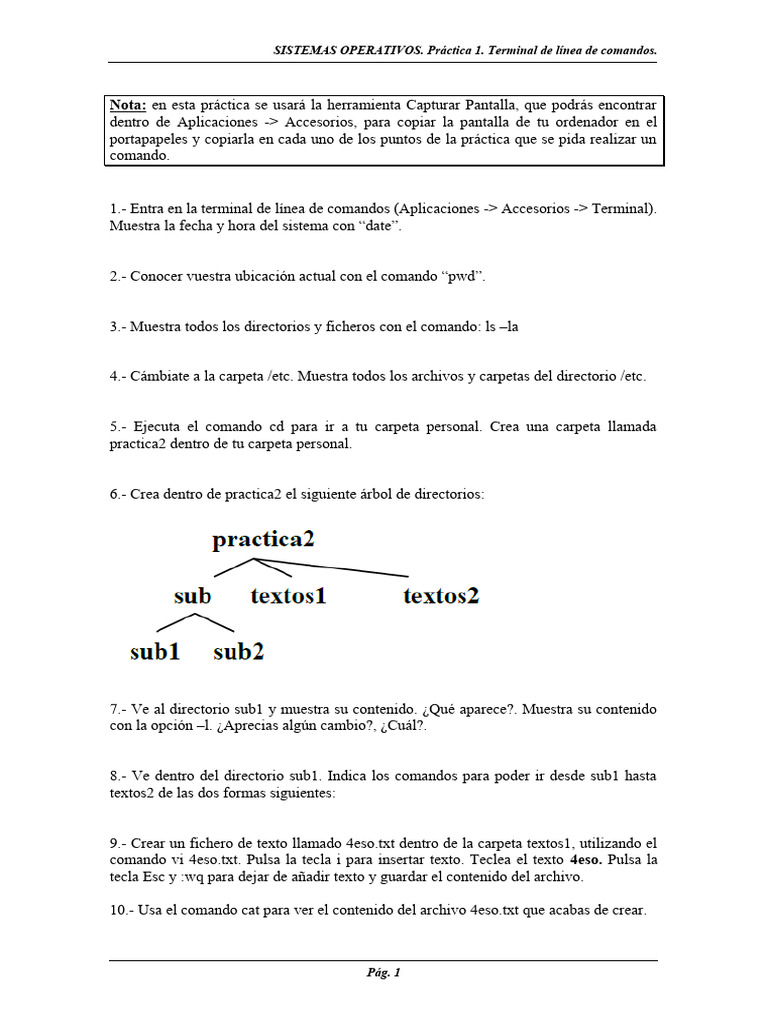 Practica 1. Terminal de Linea de Comandos | PDF | Métodos y materiales ...