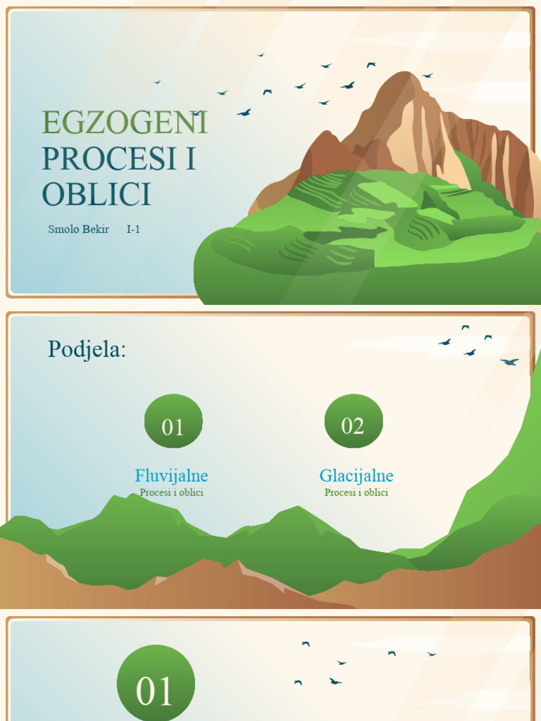 Egzogeni: Procesi I Oblici | PDF
