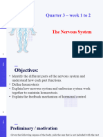 Nervous System