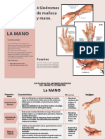 Patología Del Aparato Locomotor - Miembros Superiores