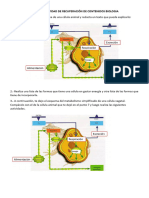 Parte Ii Recuperaci-N de Contenidos Bio 4