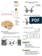 ANATOMIA UC6 - Documentos Google