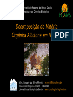 Decomposição de Matéria Orgânica Alóctone em Riachos