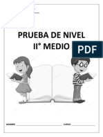 Prueba Nivel Ii°medio