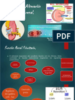 Alteracion de La Función Renal