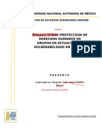 Ensayo - Protección de Derechos Humanos de Grupos en Situacion de Vulnerabilidad en México, Niñas, Niño