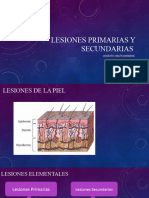 Lesiones Primarias y Secundarias