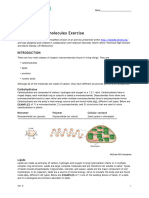 Macromolecules Exercise Ver8