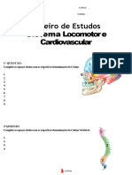 Roteiro - Sis. Locomotor e Cardiovascular