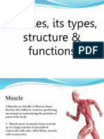 Anatomy Lec 6 Muscle