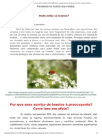 Pandemia No Mundo Dos Insetos - Popula (R) Mente - Popularizando Conhecimento Sobre o Meio Ambiente