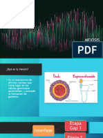Meiosis