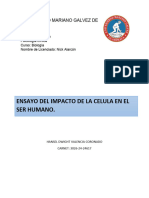 Ensayo Impacto de La Celula en El Ser Humano