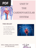 The Cardiovascular System Heart