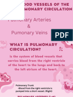 The Cardiovascular System Blood Vessels