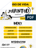 Curso de Vida - Juventud