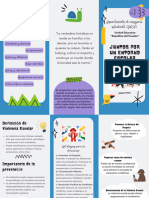 Folleto Tríptico Proyecto 