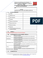 Esquema de Silabo Posgrado 2024