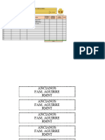 Copia de Formato de Ofrendas RMNT