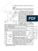 47 FF Kidney Gut