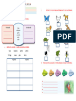 ++ficha Clasificacion de Animales