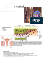 6 Secreción Vaginal