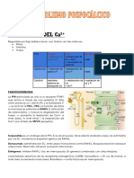 Metabolismo Fosfocálcico