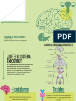 Sistema Endocrino