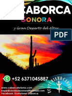 Flyers Sonora Turismo