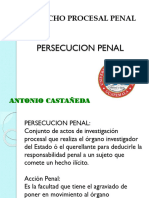Derecho Procesal Penal Accion y Persecucion Penal - 22657043