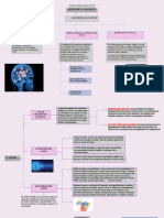 Mapa Conceptual Estados de La Conciencia