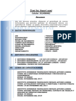 Curriculum Vitae Yeni