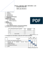 El Plan Del Proyecto A Realizardebeenfocarsea Los Siguientes Aspectos