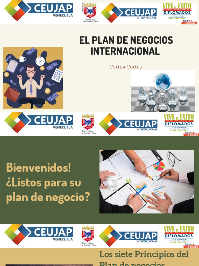 Principios para un Plan de Negocios Internacional | PDF | Marketing ...