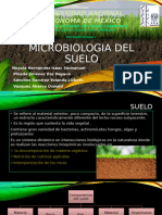 Microorganismos Del Suelo