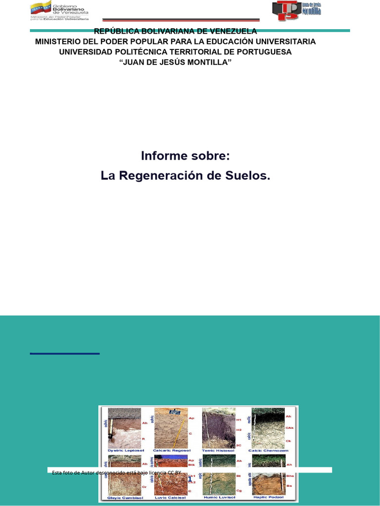 informe de suelos | PDF | Suelo | Fertilidad del suelo