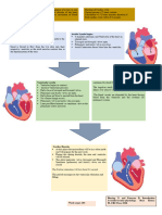 Cardiac Cycle