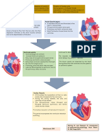 Cardiac Cycle