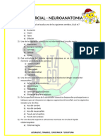 3er Parcial - NEUROANATOMÍA