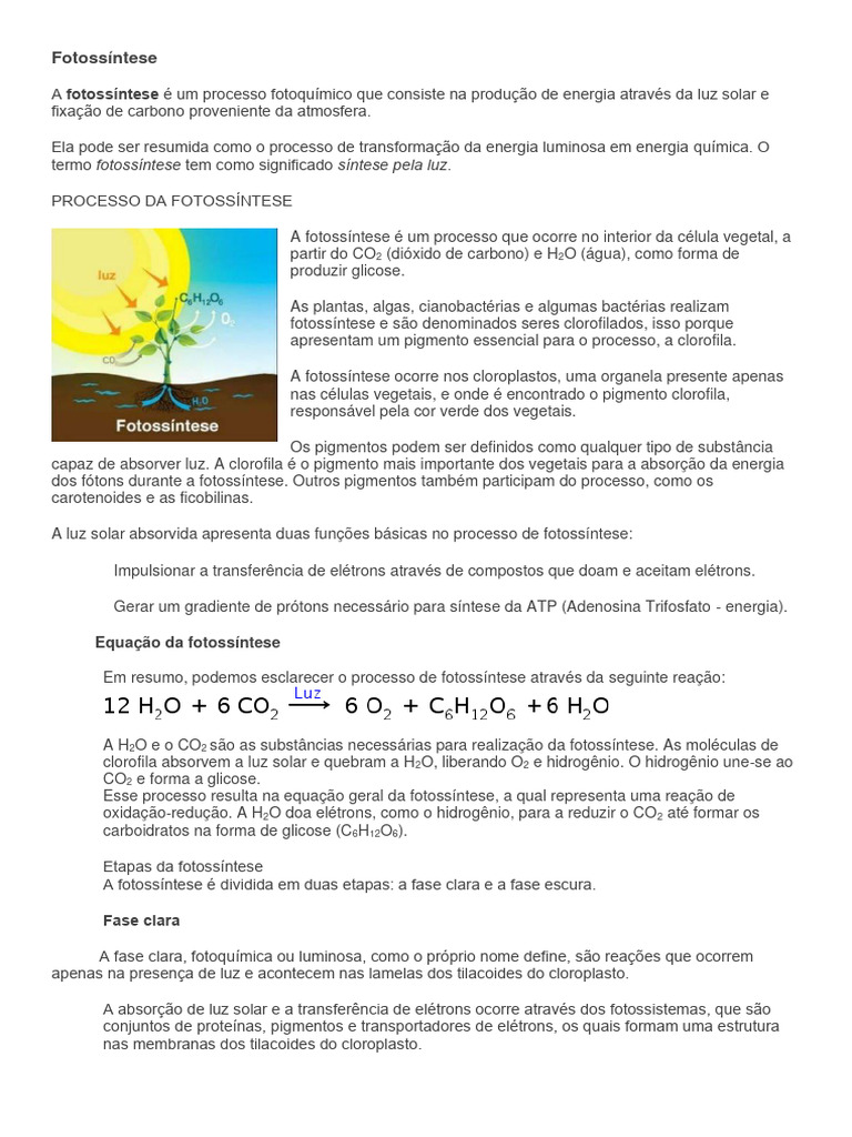Texto Sobre Fotossíntese | PDF | Fotossíntese | Clorofila